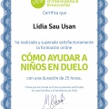 Acercar imagen: certificate 3