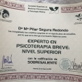 Acercar imagen: certificate 5