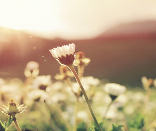 Jose David Aguilar Hita-0