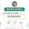 Acercar imagen: certificate 1