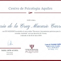 Acercar imagen: certificate 9