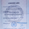 Acercar imagen: certificate 15