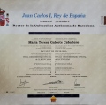 Acercar imagen: certificate 27