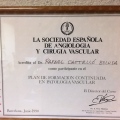 Acercar imagen: certificate 10
