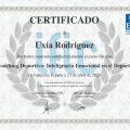 Acercar imagen: certificate 5