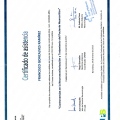 Acercar imagen: certificate 9