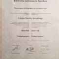 Acercar imagen: certificate 2
