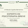 Acercar imagen: certificate 6