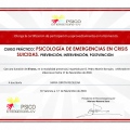 Acercar imagen: certificate 11