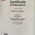Acercar imagen: certificate 23