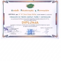 Acercar imagen: certificate 5
