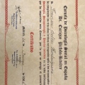 Acercar imagen: certificate 1