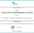 Acercar imagen: certificate 13
