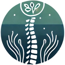 Irene Pili | Fisioterapia y Osteopatía en Posadas | Fisio Nora