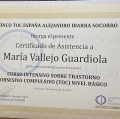 Acercar imagen: certificate 15