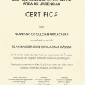Acercar imagen: certificate 29