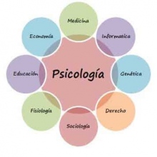 Acercar imagen: Paula María Fuertes Silva, Psicólogo Astorga