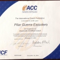 Acercar imagen: certificate 2