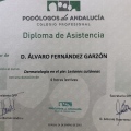Acercar imagen: certificate 17