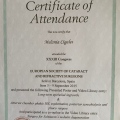 Acercar imagen: certificate 13