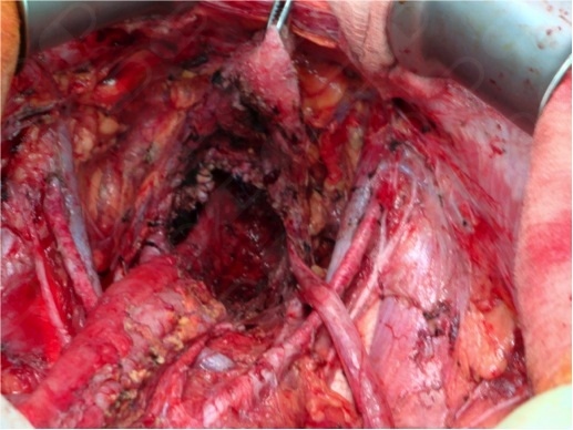 Francisco Cristóbal Muñoz Casares-6