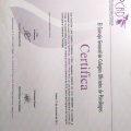 Acercar imagen: certificate 11