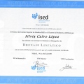 Acercar imagen: certificate 33