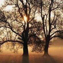 Acercar imagen: Jefferson Zambrano, Especialista en Medicina del Deporte Arbucies