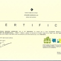 Acercar imagen: certificate 5