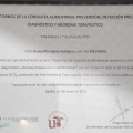 Acercar imagen: certificate 3