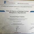 Acercar imagen: certificate 2