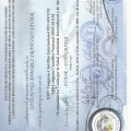 Acercar imagen: certificate 49