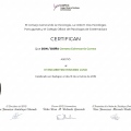 Acercar imagen: certificate 7