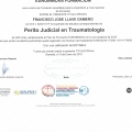Acercar imagen: certificate 3