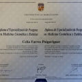 Acercar imagen: certificate 15