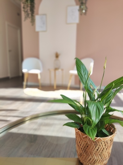 Paola Serrano Alarcón-1