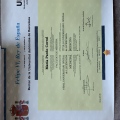 Acercar imagen: certificate 1