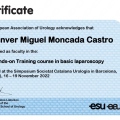 Acercar imagen: certificate 3