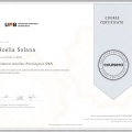 Acercar imagen: certificate 4