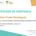 Acercar imagen: certificate 8