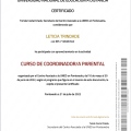 Acercar imagen: certificate 6