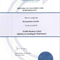 Acercar imagen: certificate 5