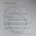 Acercar imagen: certificate 5