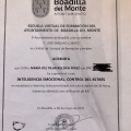 Acercar imagen: certificate 8