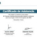 Acercar imagen: certificate 4