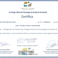 Acercar imagen: certificate 7