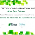 Acercar imagen: certificate 2