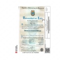 Acercar imagen: certificate 3