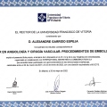 Acercar imagen: certificate 6