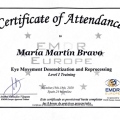 Acercar imagen: certificate 8